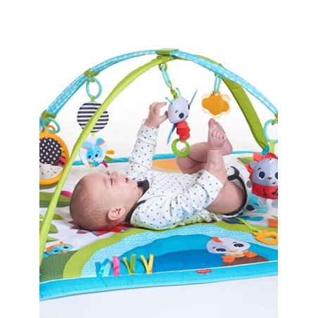 Εκπαιδευτικό Γυμναστήριο Tiny Love Gymini Sunny Day BR74774