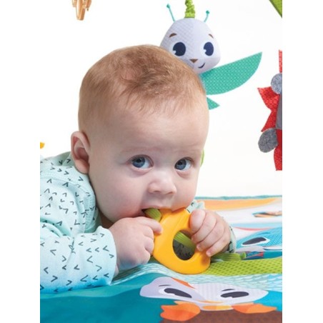 Εκπαιδευτικό Γυμναστήριο Tiny Love Gymini Sunny Day BR74774