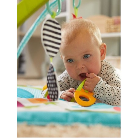 Εκπαιδευτικό Γυμναστήριο Tiny Love Gymini Sunny Day BR74774