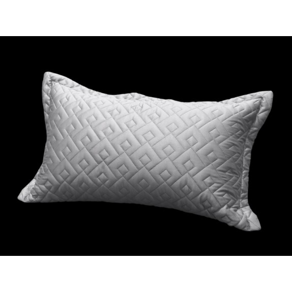 Μαξιλαροθήκη Διακόσμησης Guy Laroche Conte Silver 30x50