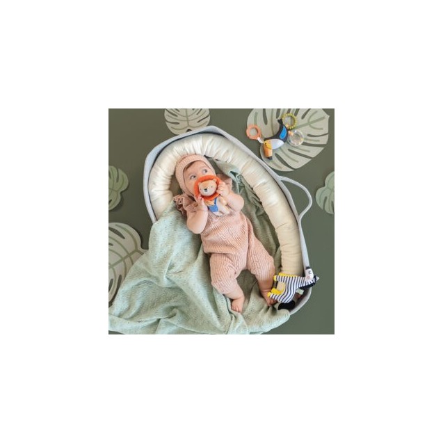 Κουδουνίστρα Taf Toys Dizi The Zebra T-12685