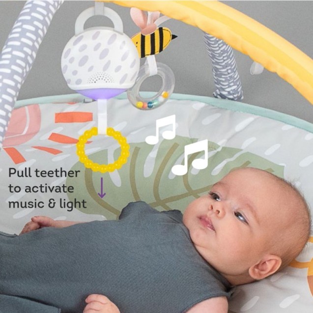 Βρεφικό Γυμναστήριο Taf Toys Savannah Super...