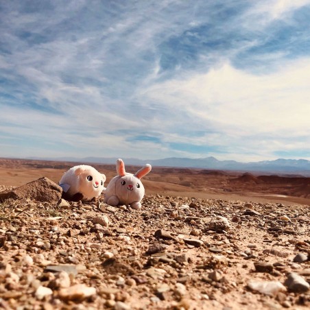 Υφασμάτινο Παιχνίδι - Φωτάκι Νυκτός Pabobo Λαγουδάκι Shakies-Rabbit