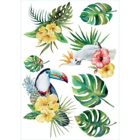 Αυτοκόλλητα Τοίχου Βινυλίου Ango Tropical Birds 44208