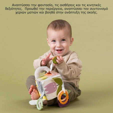 Κύβος Δραστηριοτήτων Taf Toys Urban Garden Activity Cube T-13095