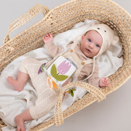 Κύβος Δραστηριοτήτων Taf Toys Urban Garden Activity Cube T-13095