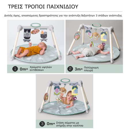 Φορητό Γυμναστήριο & Χαλάκι Δραστηριοτήτων Taf Toys Urban Garden Foldable Gym T-13075