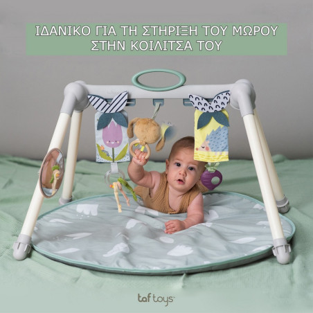 Φορητό Γυμναστήριο & Χαλάκι Δραστηριοτήτων Taf Toys Urban Garden Foldable Gym T-13075