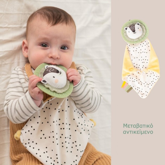 Βρεφικό Σετ Δραστηριοτήτων Taf Toys Newborn...