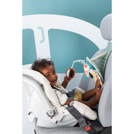 Κρεμαστό Παιχνίδι για το Αυτοκίνητο Taf Toys Penguin Play & Kick T-12955