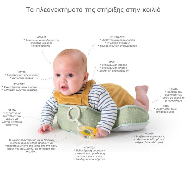 Βρεφικό Μαξιλαράκι Δραστηριοτήτων Taf Toys...