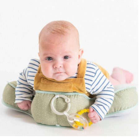 Βρεφικό Μαξιλαράκι Δραστηριοτήτων Taf Toys Tummy Time Pillow T-12895