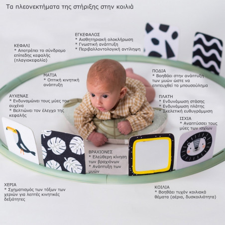 Κέντρο Δραστηριοτήτων Taf Toys Tummy Time Trainer T-12945