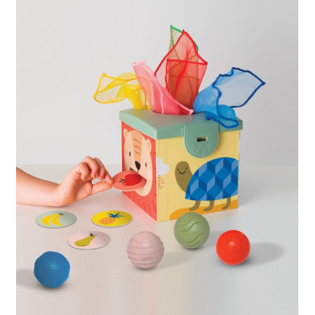 Παιχνίδι Δραστηριοτήτων Taf Toys Magic Box T-12965