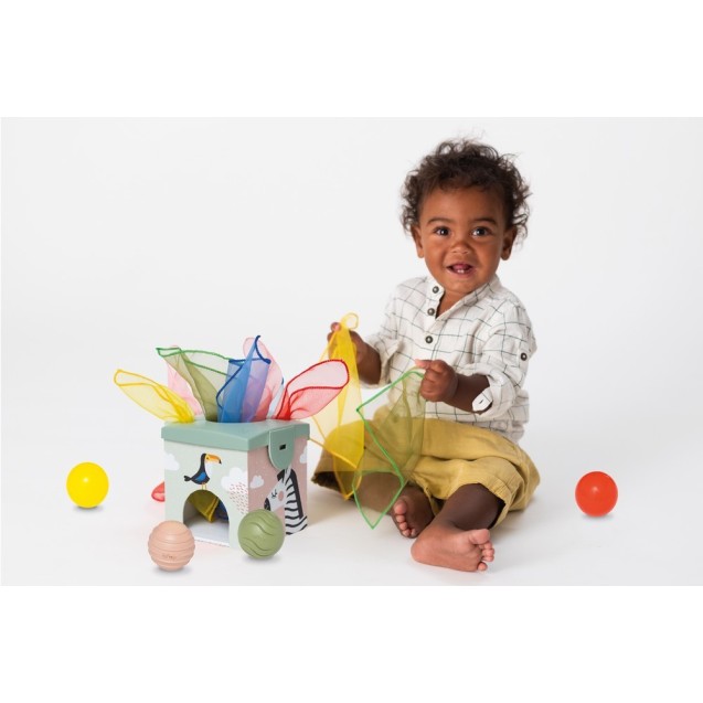 Παιχνίδι Δραστηριοτήτων Taf Toys Magic Box T-12965