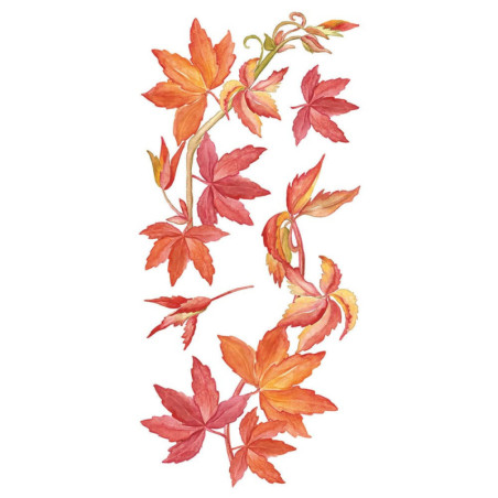 Αυτοκόλλητα Τοίχου Ango Virginia Creeper 59154