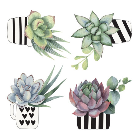 Αυτοκόλλητα Βινυλίου για Τζάμι Ango Cactus 64013