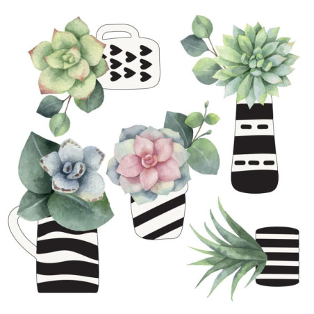 Αυτοκόλλητα Βινυλίου για Τζάμι Ango Cactus 64013