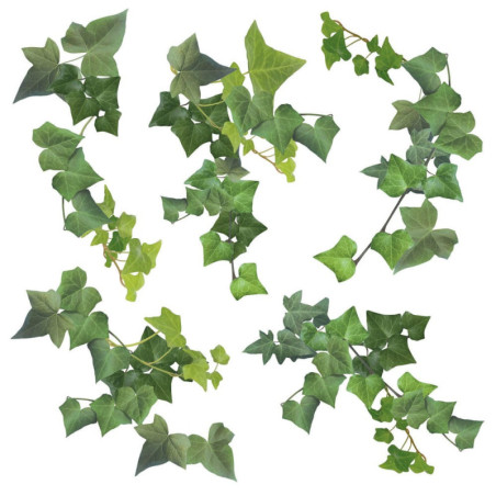 Αυτοκόλλητα Τοίχου Ango Ivy 54152