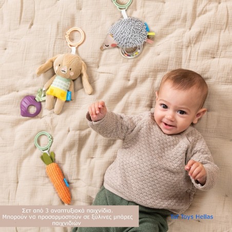 Σετ Κρεμαστά Παιχνίδια Δραστηριοτήτων Taf Toys Activity Toys Kit T-13225