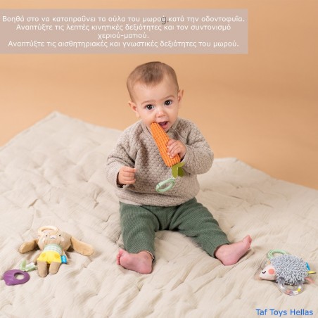 Σετ Κρεμαστά Παιχνίδια Δραστηριοτήτων Taf Toys Activity Toys Kit T-13225