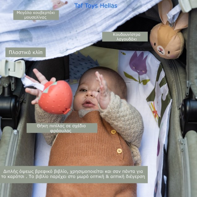 Σετ Δραστηριοτήτων Εξόδου Taf Toys Outdoors Kit...