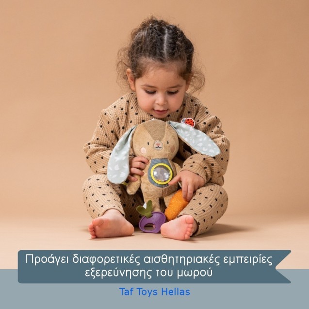 Παιχνίδι Δραστηριοτήτων Taf Toys Jenny T-13185