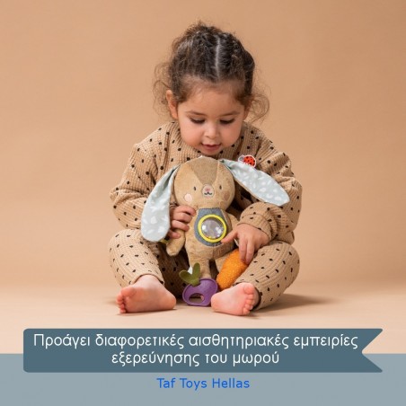 Παιχνίδι Δραστηριοτήτων Taf Toys Jenny T-13185