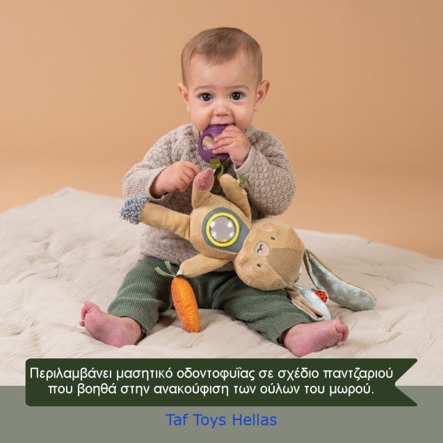 Παιχνίδι Δραστηριοτήτων Taf Toys Jenny T-13185