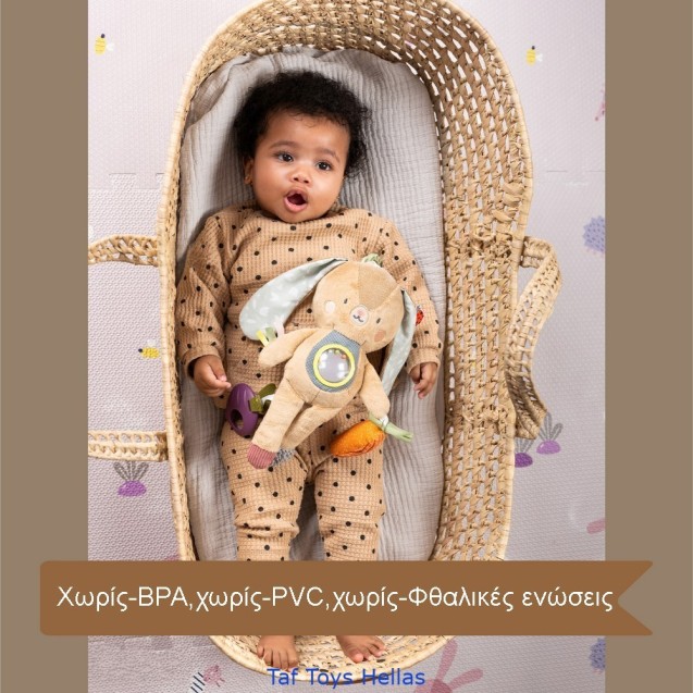 Παιχνίδι Δραστηριοτήτων Taf Toys Jenny T-13185