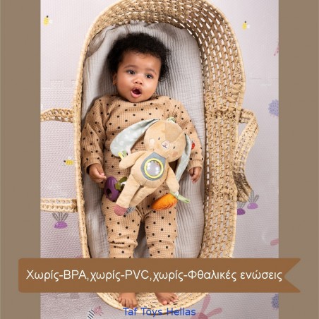 Παιχνίδι Δραστηριοτήτων Taf Toys Jenny T-13185