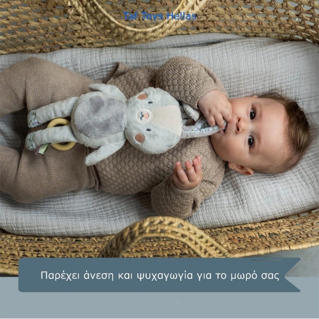 Μουσικό Παιχνίδι Taf Toys Rylee Musical Bunny...