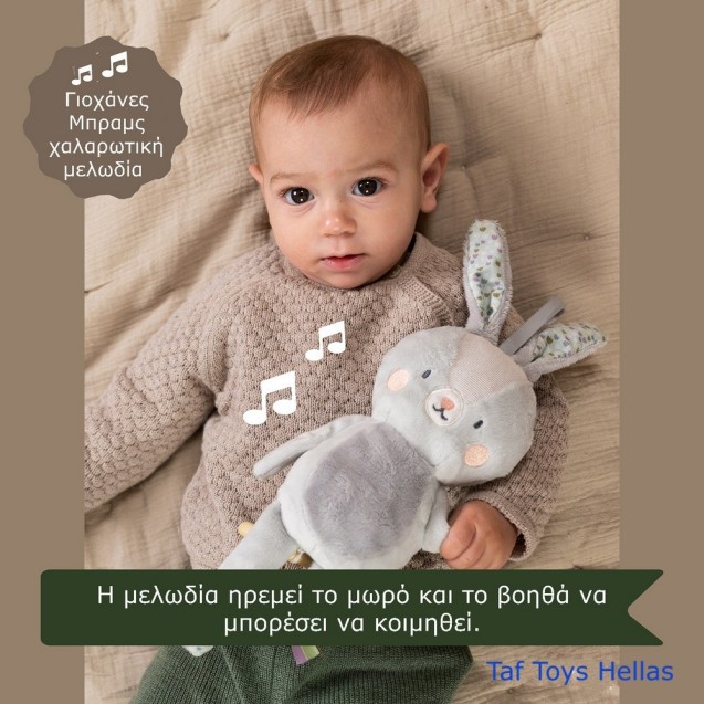 Μουσικό Παιχνίδι Taf Toys Rylee Musical Bunny...