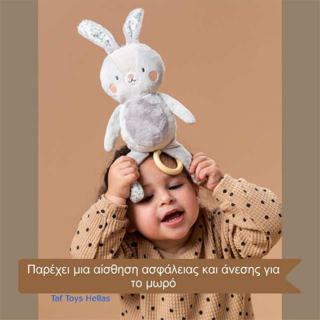 Μουσικό Παιχνίδι Taf Toys Rylee Musical Bunny...
