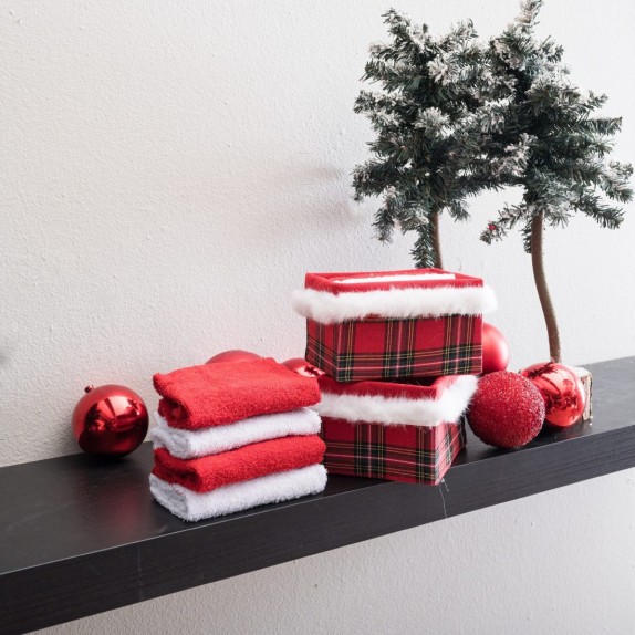 Σετ Κουτί Μπάνιου με 4 Λαβέτες Teoran Box 4010