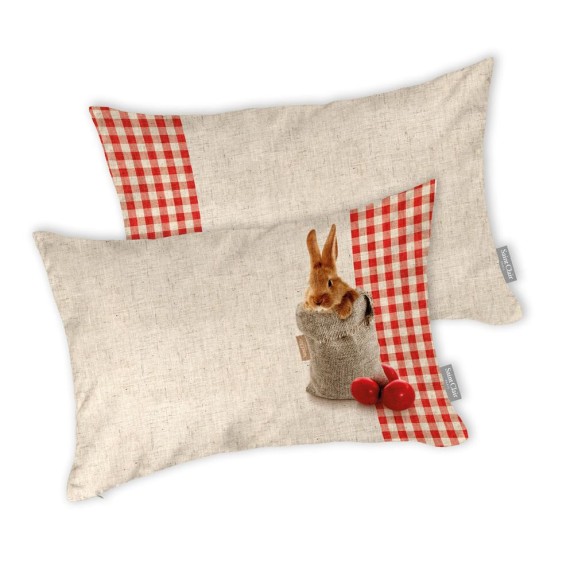 Διακοσμητικό Μαξιλαράκι 30x45 Easter Cushion 04