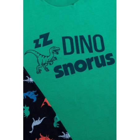 Πυτζάμα Παιδική Χειμερινή Minerva Dinosaurs Πράσινο 62057-162 Μέγεθος - No12