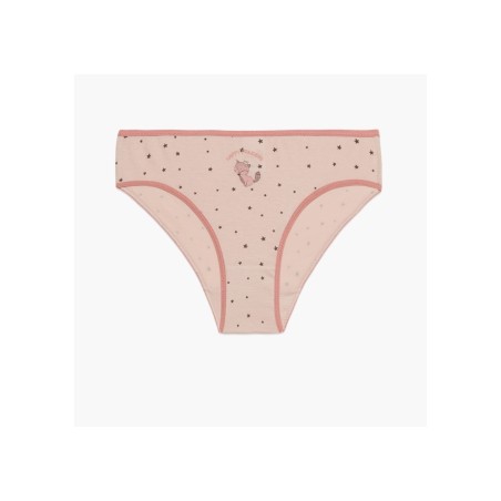 Σετ Παιδικά Σλιπάκια για Κορίτσι 3 Τεμαχίων Minerva Fox Princess Pink-Grey Stripes 42214-030 Μέγεθος - No12