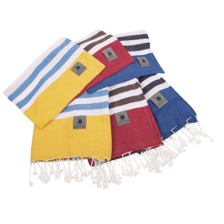 Σετ Πετσέτα Θαλάσσης Παρεό και Νεσεσέρ Greenwich Polo Club 3827 90x170