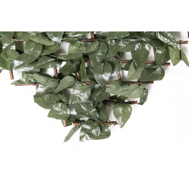 Πτυσσόμενη Πέργκολα Orlando 100 Χ 200 Mz186001α...