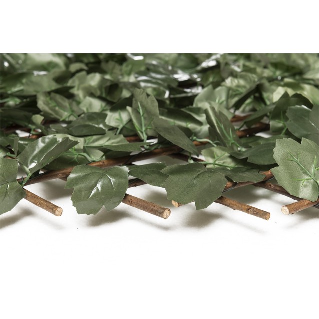 Πτυσσόμενη Πέργκολα Orlando 100 Χ 200 Mz186002b...