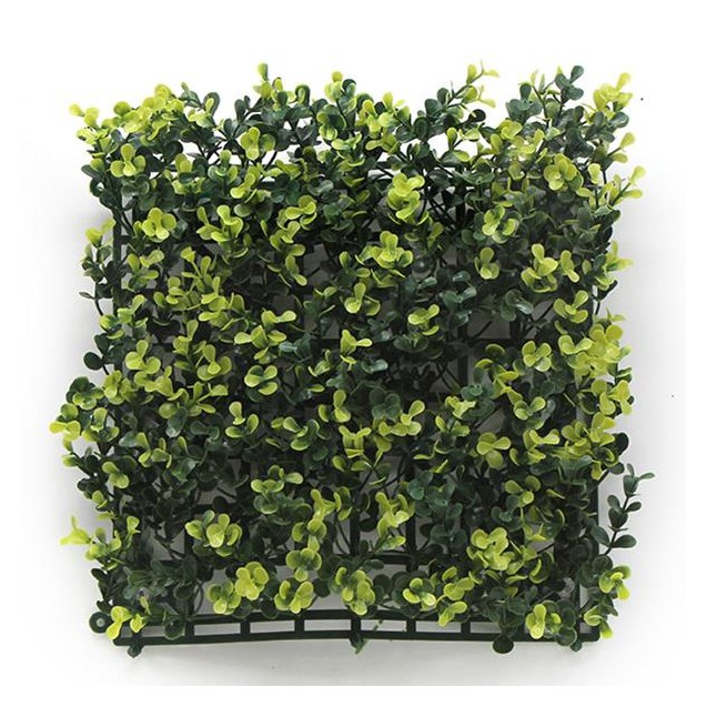 Πάνελ Φυλλωσιάς Berlin 50 Χ 50 A003 Buxus Newplan