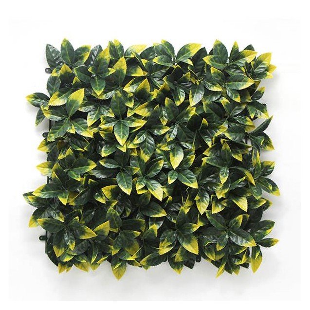 Πάνελ Φυλλωσιάς Berlin 50 Χ 50 A017 Photinia...