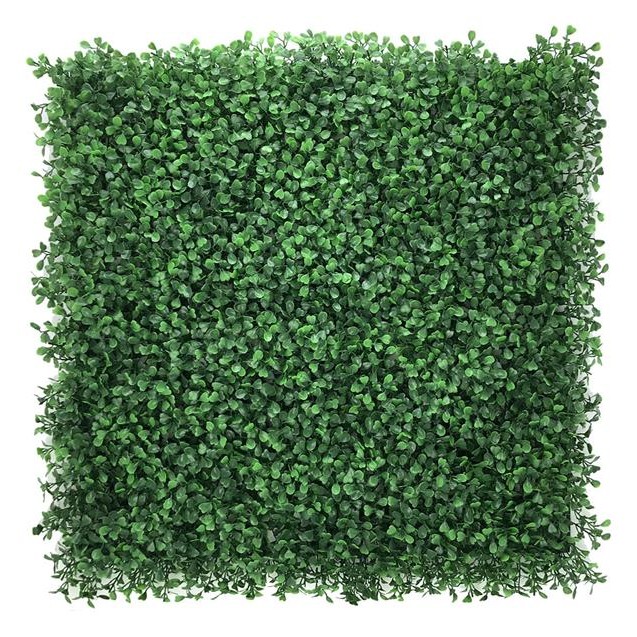 Πάνελ Φυλλωσιάς Berlin 50 Χ 50 A146 Boxwood...