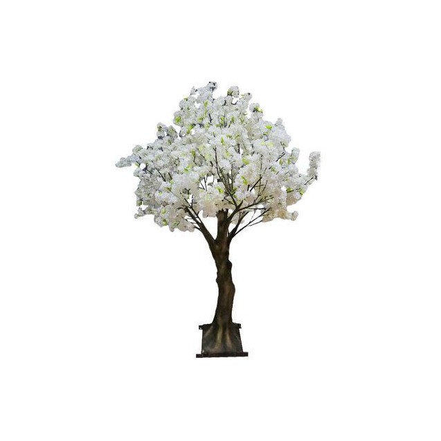 Peach Flower Tree   Np0043_210  Ύψος...