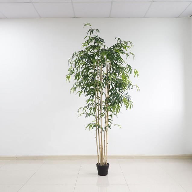 Bamboo  Np0070_210 Ύψος 210cm Newplan