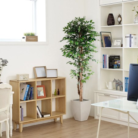 Ficus Tree Np0081_210   Ύψος 210cm Newplan