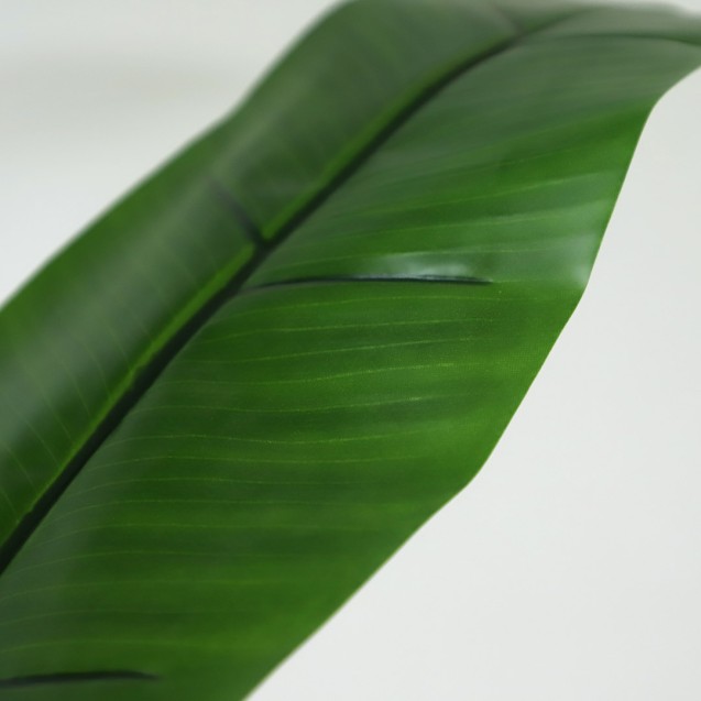 Banana Tree Np018_280_22  Ύψος 280cm Newplan