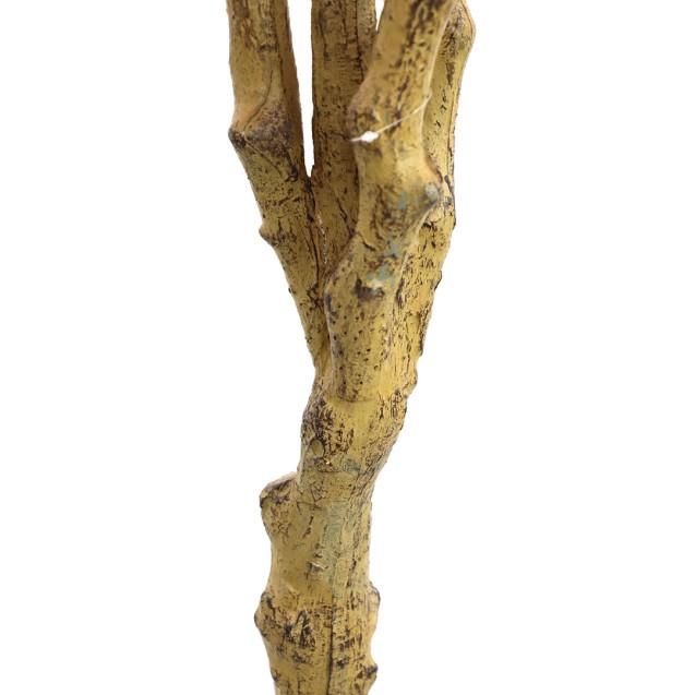 Bougainvillea  Np0421_210  Ύψος 210cm Newplan