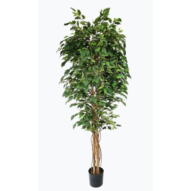 Ficus Tree Np230_210_Uv  Ύψος 210cm Newplan
